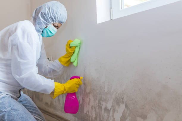 Fairview, GA Mold Inspection Company